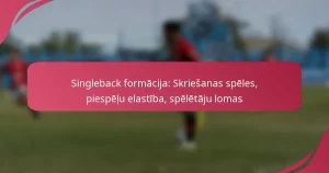 Singleback formācija: Skriešanas spēles, piespēļu elastība, spēlētāju lomas